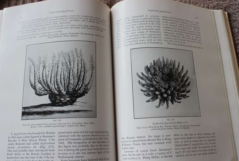 THE SUCCULENT EUPHORBIEAE. (Southern Africa) by Alain White, Allen Dyer and Boyd Sloane. Vol. 1. (W)