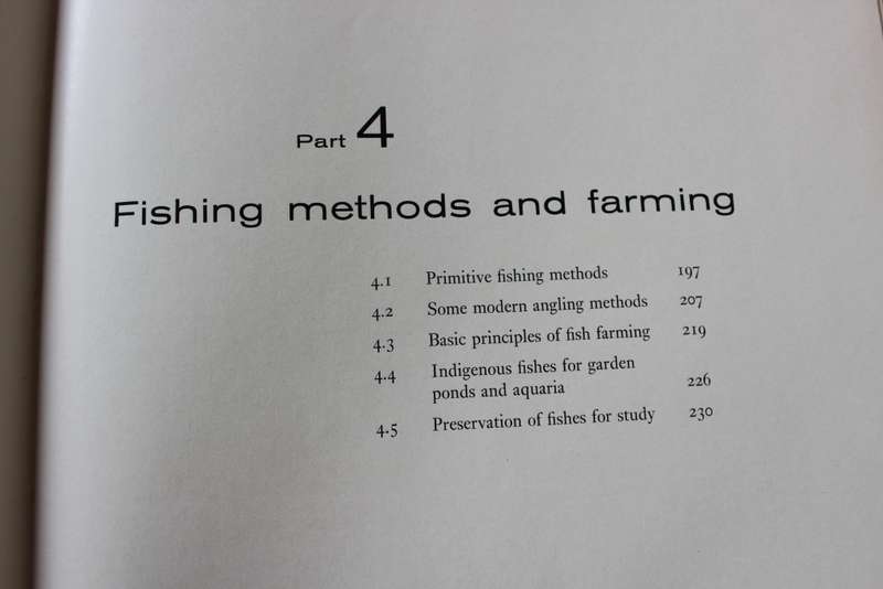 FRESHWATER FISHES of Southern Africa. R.A. Jubb. Illustrations by H.M. Jubb.     (W)