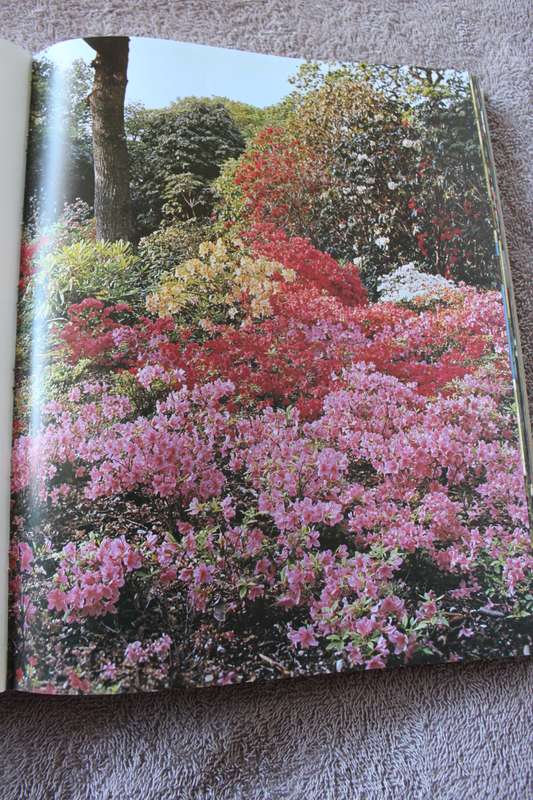 THE ROTHSCHILD RHODODENDRONS A record of the Gardens at Exberg by C.E. Lucas Philips & P N Barber