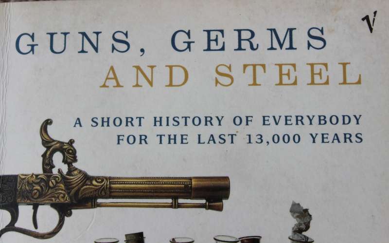 GUNS, GERMS AND STEEL. (A short history of everybody for the last 13,000 years) Jared Diamond.   (W)