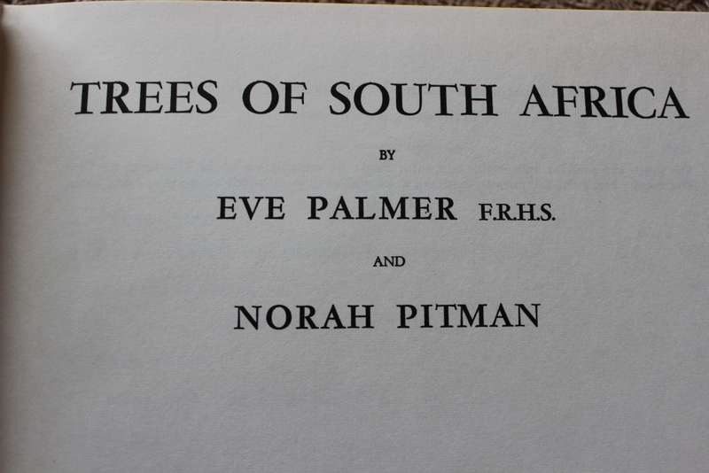 TREES OF SOUTH AFRICA by Eve Palmer and Norah Pitman.     (W)