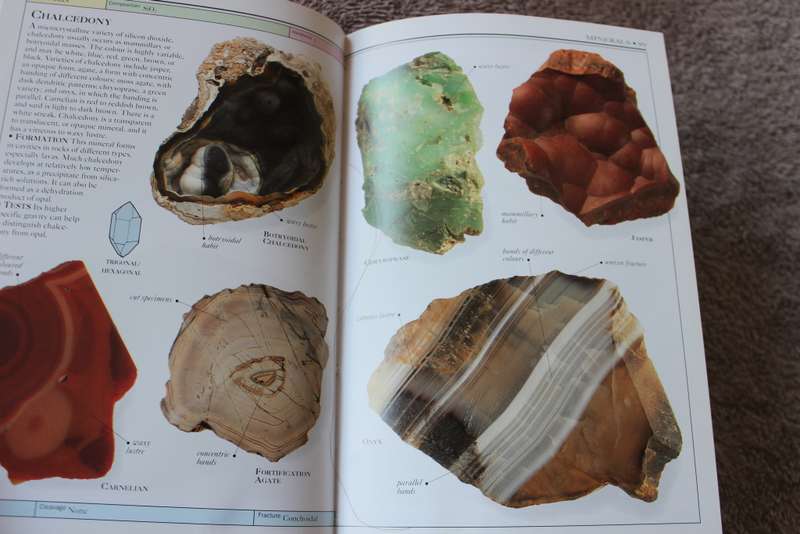 ROCKS AND MINERALS  by Chris Pellant