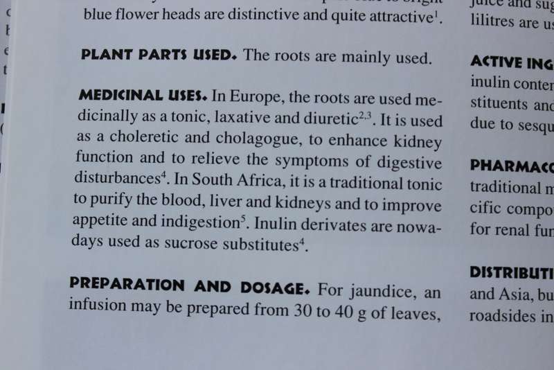 MEDICINAL PLANTS OF SOUTH AFRICA  by Ben-Erik van Wyk, Bosch van Oudtshoorn, Nigel Gericke