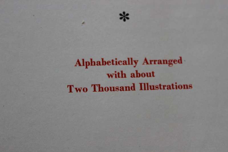 THE WORLD OF MUSIC - LISTENER`S COMPANIAN  Compiled adn edited by K. B. Sandved