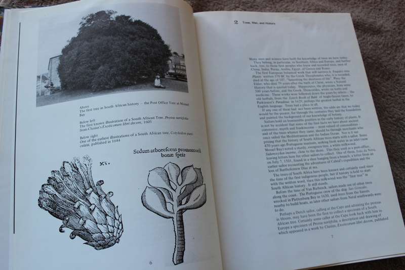 TREES OF SOUTHERN AFRICA by Eve Palmer and Norah Pitman. Volume One.   (W)