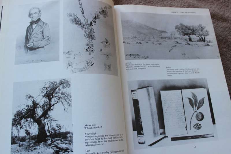 TREES OF SOUTHERN AFRICA by Eve Palmer and Norah Pitman. Volume One.   (W)