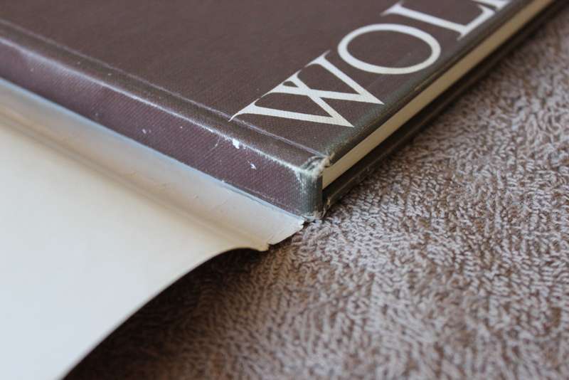 WOLF KIBEL  by Freda Kibel  (Limited Edition)  (C)