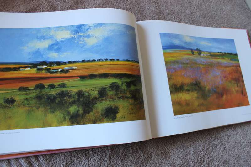 DERRIC VAN RENSBURG (ARTIST)  (PUBLISHED 2007)  (c)