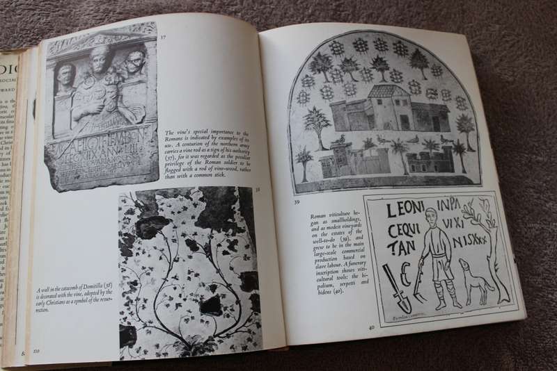 A SOCIAL HISTORY OF THE WINE VINE  DIONYSUS  by Edward Hyams  (C)