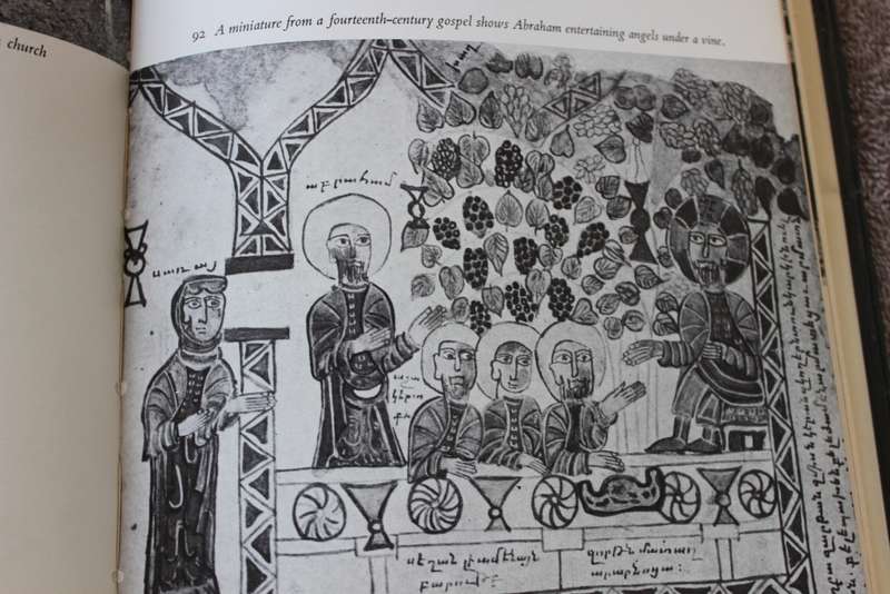 A SOCIAL HISTORY OF THE WINE VINE  DIONYSUS  by Edward Hyams  (C)