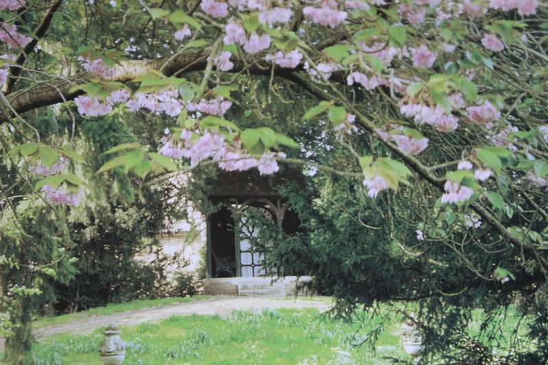 HEALING GARDENS  by Romy Rawlings (C)