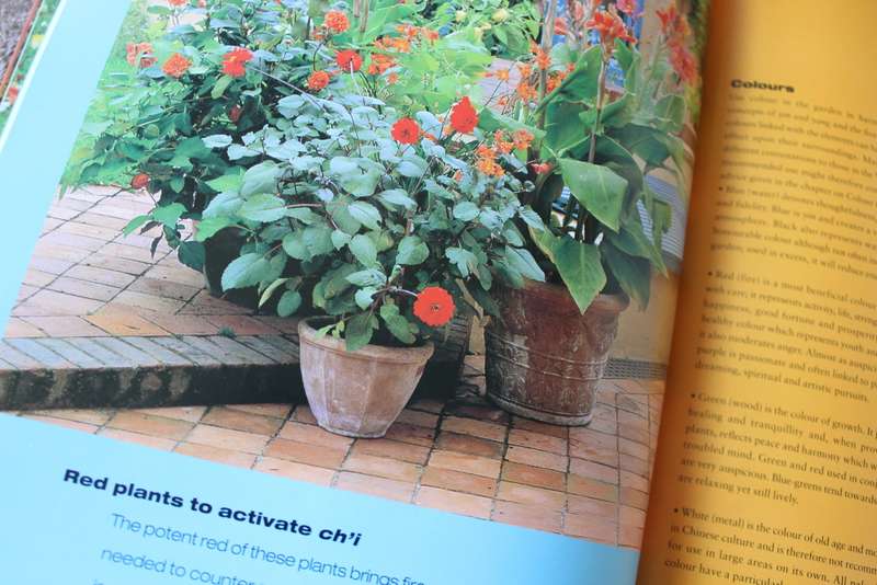HEALING GARDENS  by Romy Rawlings (C)