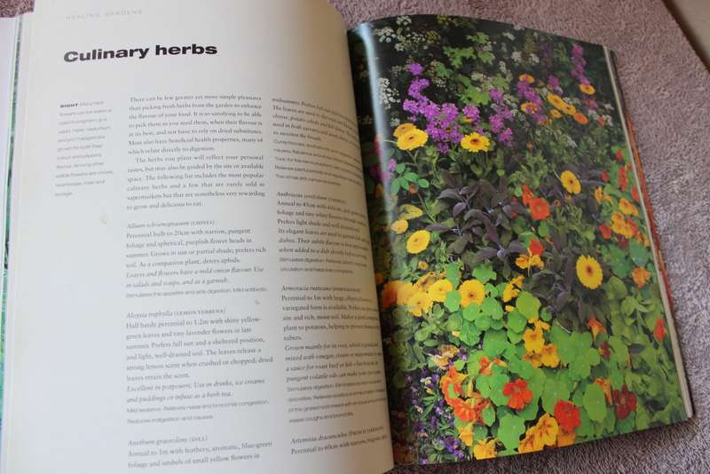 HEALING GARDENS  by Romy Rawlings (C)