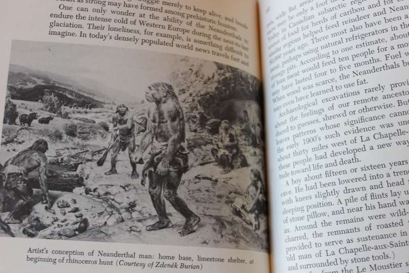 THE EMERGENCE OF MAN  by John E. Pfeiffer