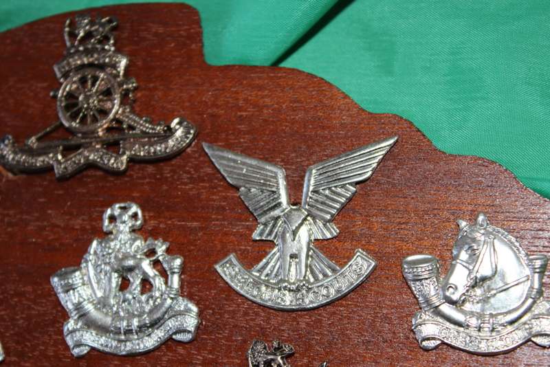 TWENTY RHODESIAN MILITARY BADGES MOUNTED IN SMART LEATHERLIKE BOX