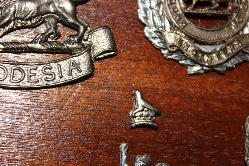 TWENTY RHODESIAN MILITARY BADGES MOUNTED IN SMART LEATHERLIKE BOX