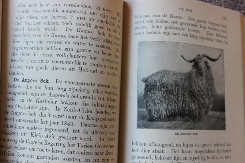 HET BOERELEVEN. Een Leesboek voor Zuid-Afrika door Alexander Lamont vertaald door M.J. Stucki.   (P)