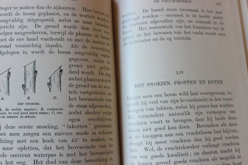 HET BOERELEVEN. Een Leesboek voor Zuid-Afrika door Alexander Lamont vertaald door M.J. Stucki.   (P)