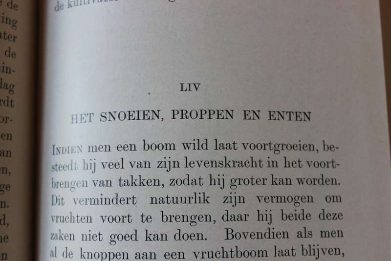 HET BOERELEVEN. Een Leesboek voor Zuid-Afrika door Alexander Lamont vertaald door M.J. Stucki.   (P)