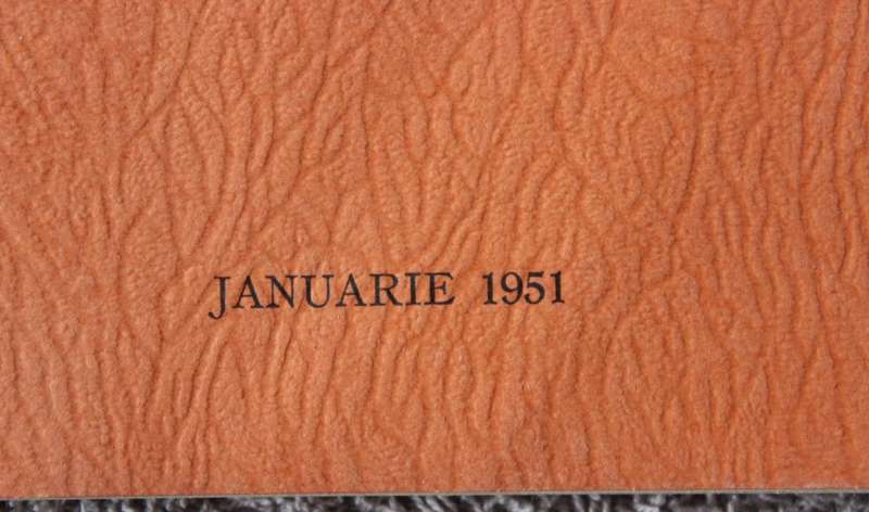 DIE NATUREL IN DIE SUID-AFRIKAANSE NYWERHEIDSLEWE. (Referate Tweede Jaarvergadering 1951. SABRA) (P)