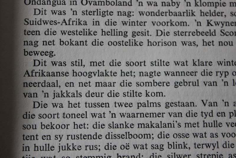 DIE LAER  deur W. A. de Klerk (ROMAN)