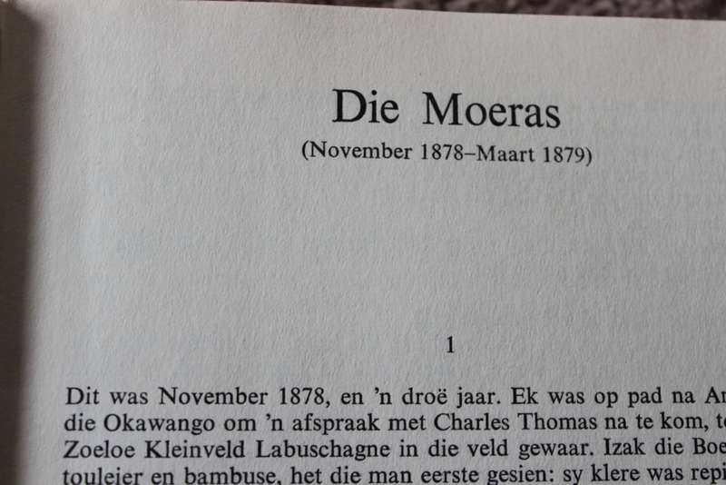 DIE LAER  deur W. A. de Klerk (ROMAN)