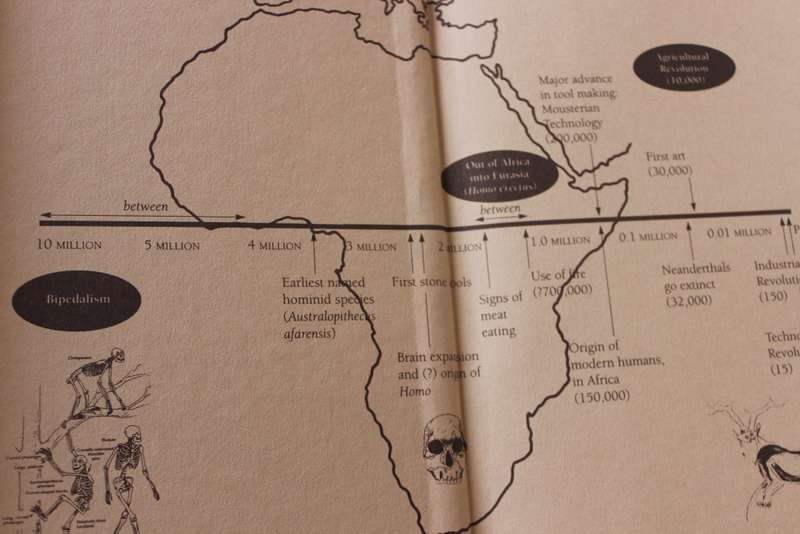 ORIGINS RECONSIDERED  by Richard Leakey & Roger Lewin