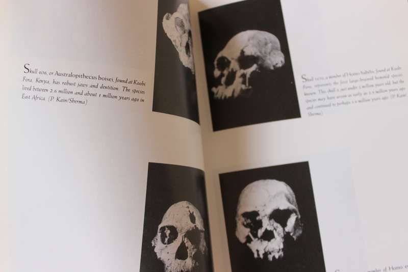ORIGINS RECONSIDERED  by Richard Leakey & Roger Lewin