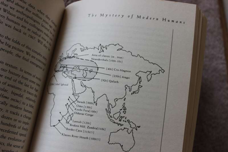 ORIGINS RECONSIDERED  by Richard Leakey & Roger Lewin