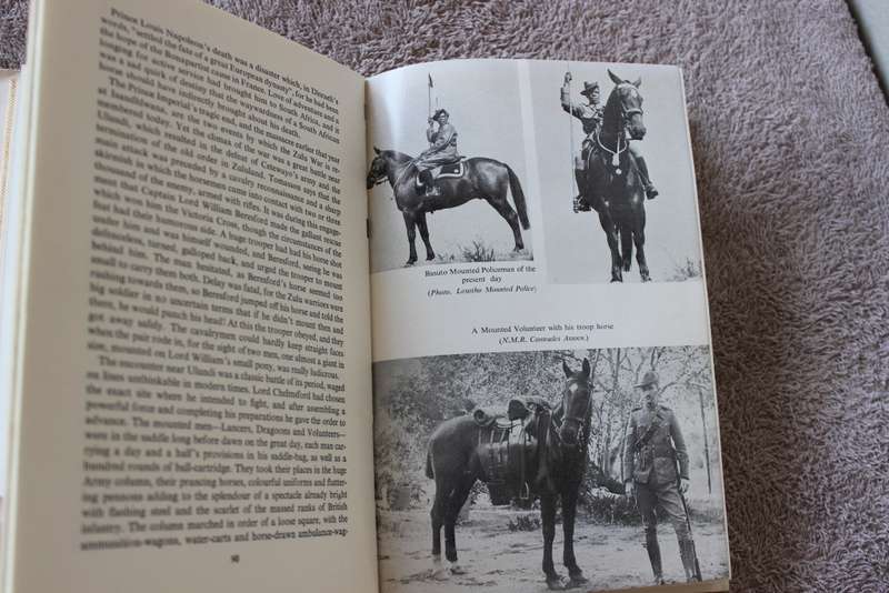 SAGA OF THE SOUTH AFRICAN HORSE  by Daphne Child