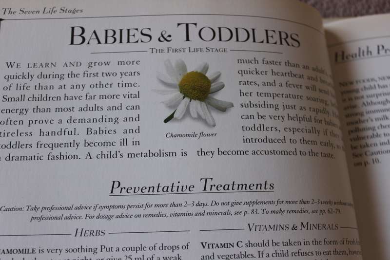 HOME HERBAL  by Penelope Ody (Guide to herbal remedies for common ailments)