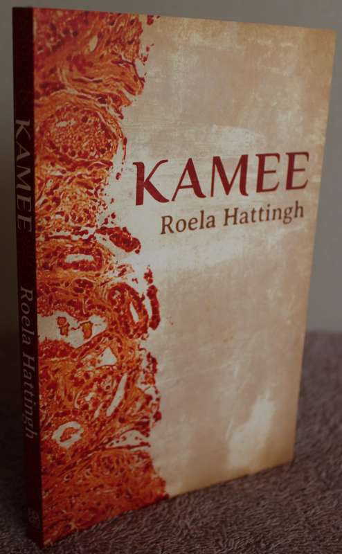 SES BUNDELS KORTVERHALE. Stroomversnelling, Nuwe Stories, Jaarringe, Keerpunt, Kamee, Storie-Palet.