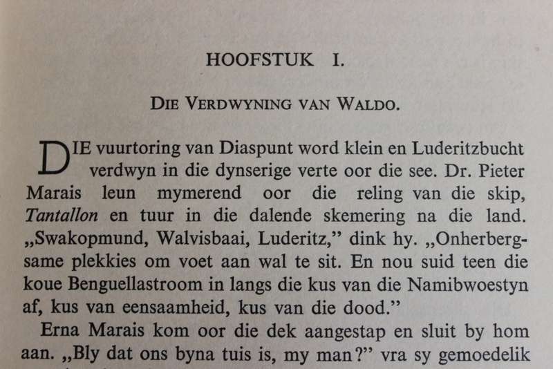 WADDA VAN DIE WOESTYN deur Cor. Dirks.