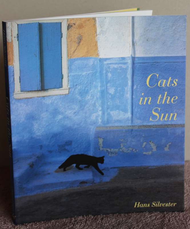 CATS IN THE SUN. Hans Silvester. (Combining cats with scenery of the Greek Islands)