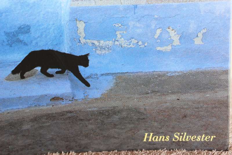CATS IN THE SUN. Hans Silvester. (Combining cats with scenery of the Greek Islands)