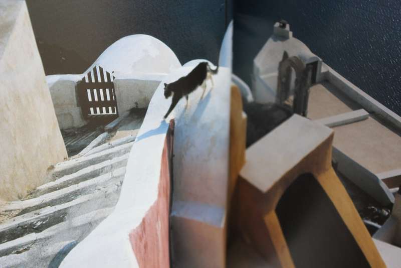 CATS IN THE SUN. Hans Silvester. (Combining cats with scenery of the Greek Islands)
