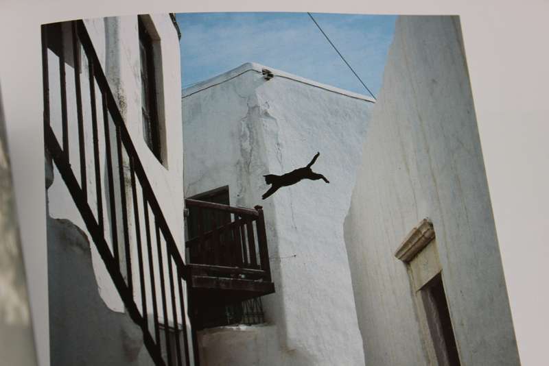 CATS IN THE SUN. Hans Silvester. (Combining cats with scenery of the Greek Islands)