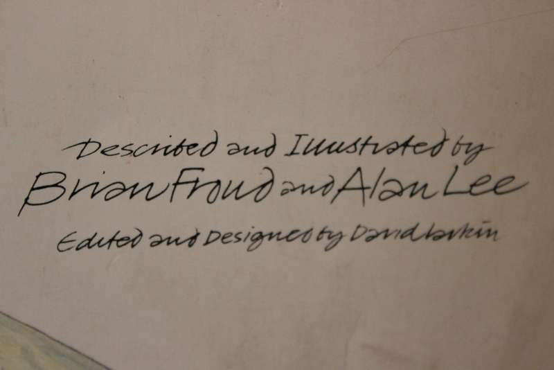 FAERIES. Described and illustrated by Brian Froud and Alan Lee.