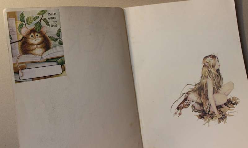 FAERIES. Described and illustrated by Brian Froud and Alan Lee.