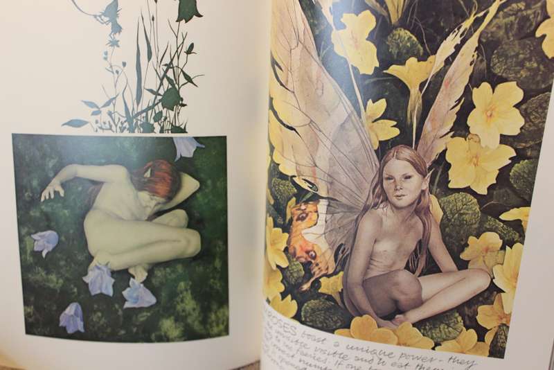 FAERIES. Described and illustrated by Brian Froud and Alan Lee.