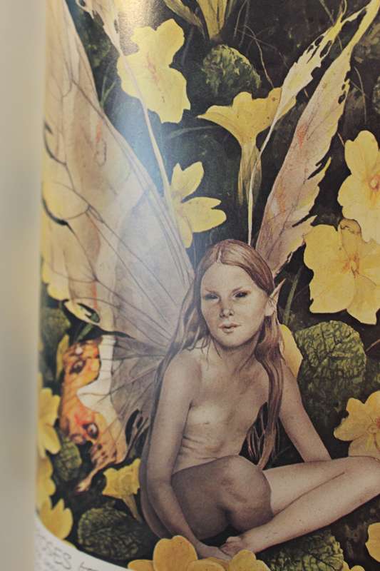 FAERIES. Described and illustrated by Brian Froud and Alan Lee.