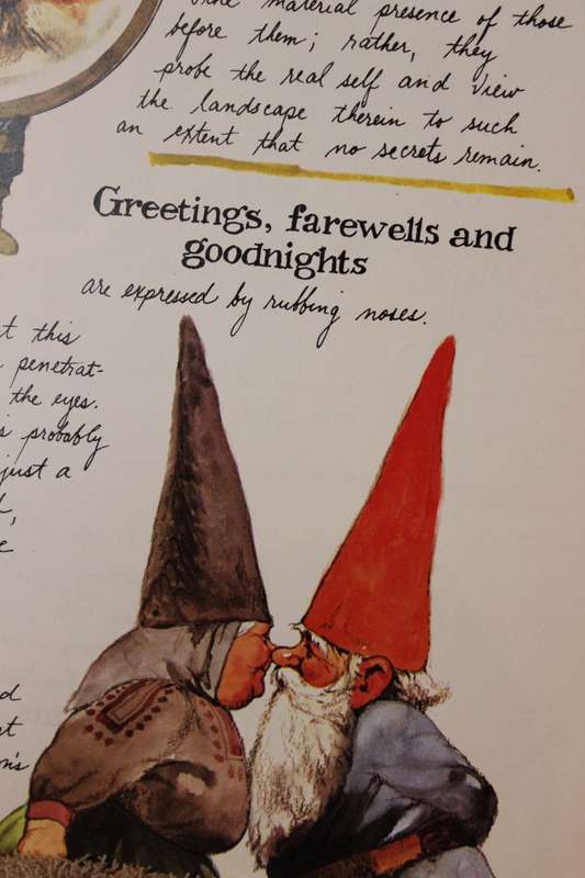 GNOMES. Text by Wil Huygen. Illustrated by Rien Poortvliet.