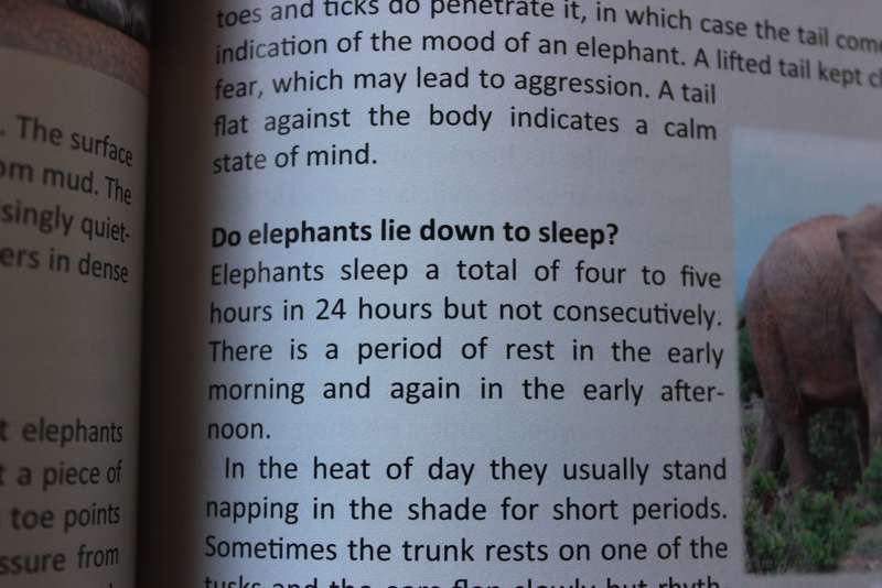 AARDVARK TO ZEBRA  Questions and Answers  Riëtte (2020)  Revised and Expanded