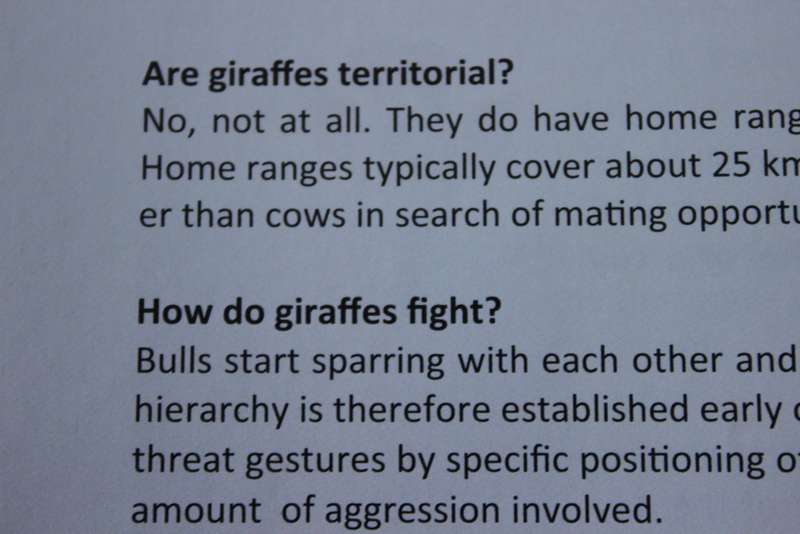 AARDVARK TO ZEBRA  Questions and Answers  Riëtte (2020)  Revised and Expanded