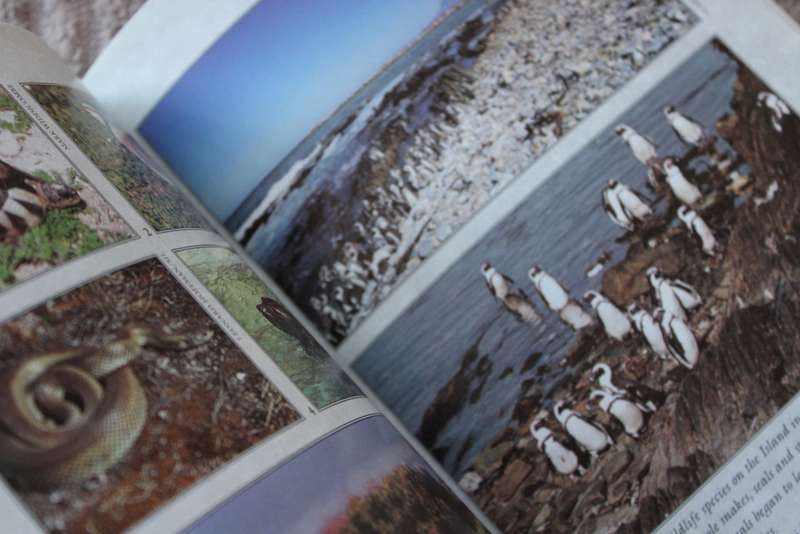 ROBBEN ISLAND  by Charlene Smith  Mayibuye History and Literature Series No 76