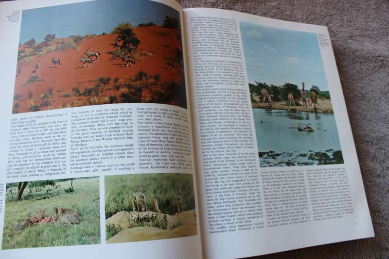 SOUTH AFRICA LAND OF CHALLENGE  by Maurice Tyack