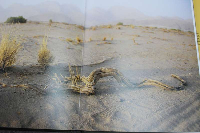 KAOKOVELD. The last wilderness. Anthony Hall-Martin, Clive Walker & J. du P Bothma.   (W)