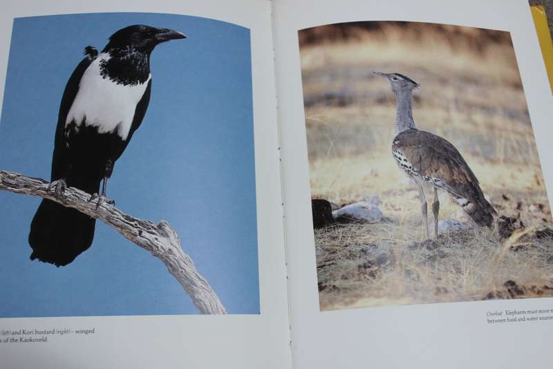 KAOKOVELD. The last wilderness. Anthony Hall-Martin, Clive Walker & J. du P Bothma.   (W)