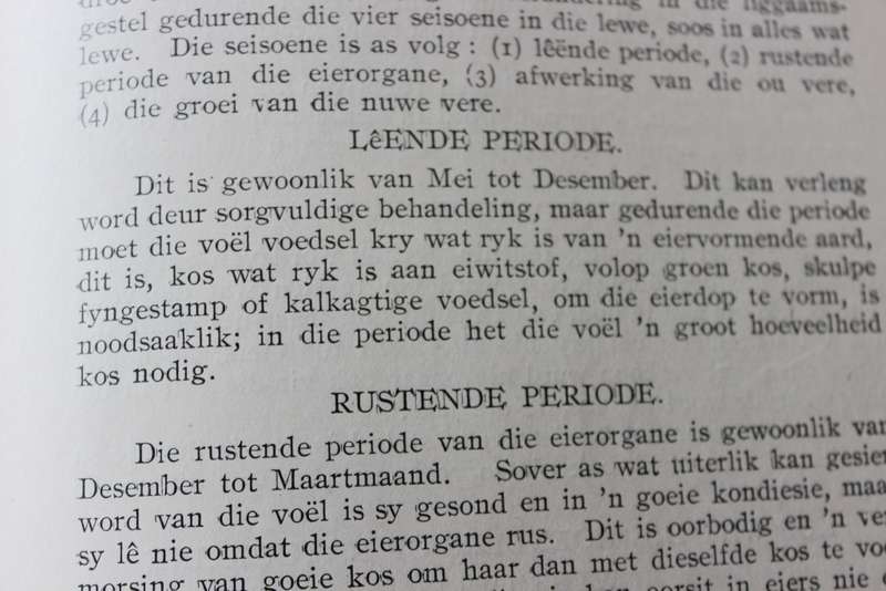 PLUIMVEE IN SUID-AFRIKA deur J.J. Jordaan. Uitgegee 1924.   (P)