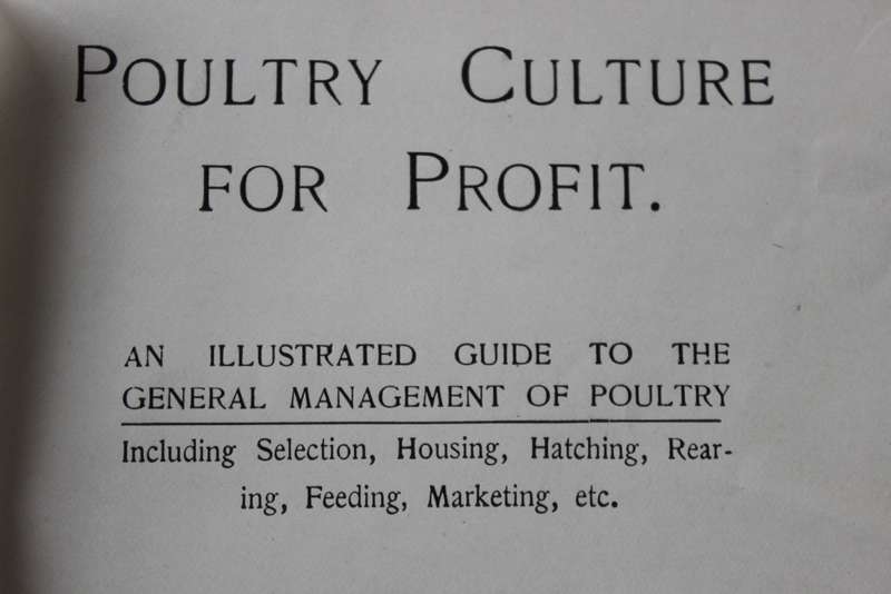 POULTRY CULTURE FOR PROFIT by Rev. T.W. Sturges. Published 1912.    (P)